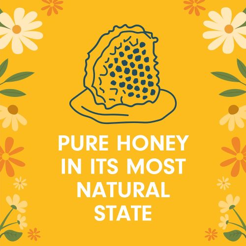 Just Bee Honeycomb Infographic 01